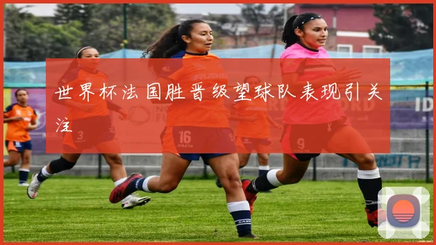 世界杯法国胜晋级望球队表现引关注