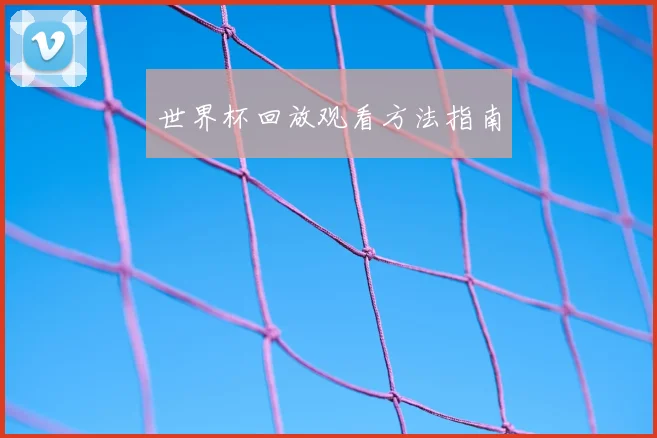 世界杯回放观看方法指南