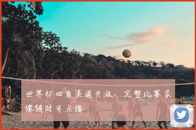 世界杯回看渠道开放,完整比赛录像随时可点播